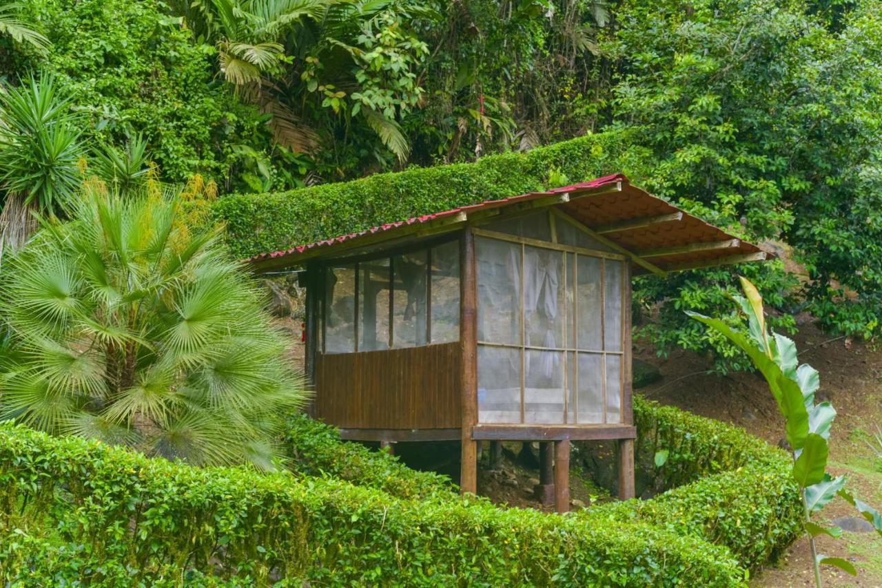 Pacuare River Lodge Bajo Tigre Extérieur photo