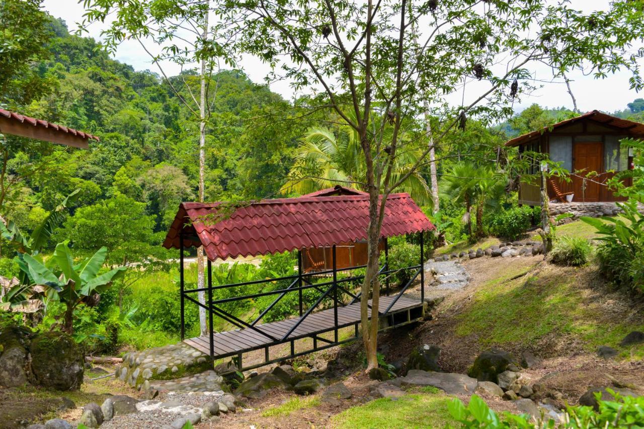 Pacuare River Lodge Bajo Tigre Extérieur photo