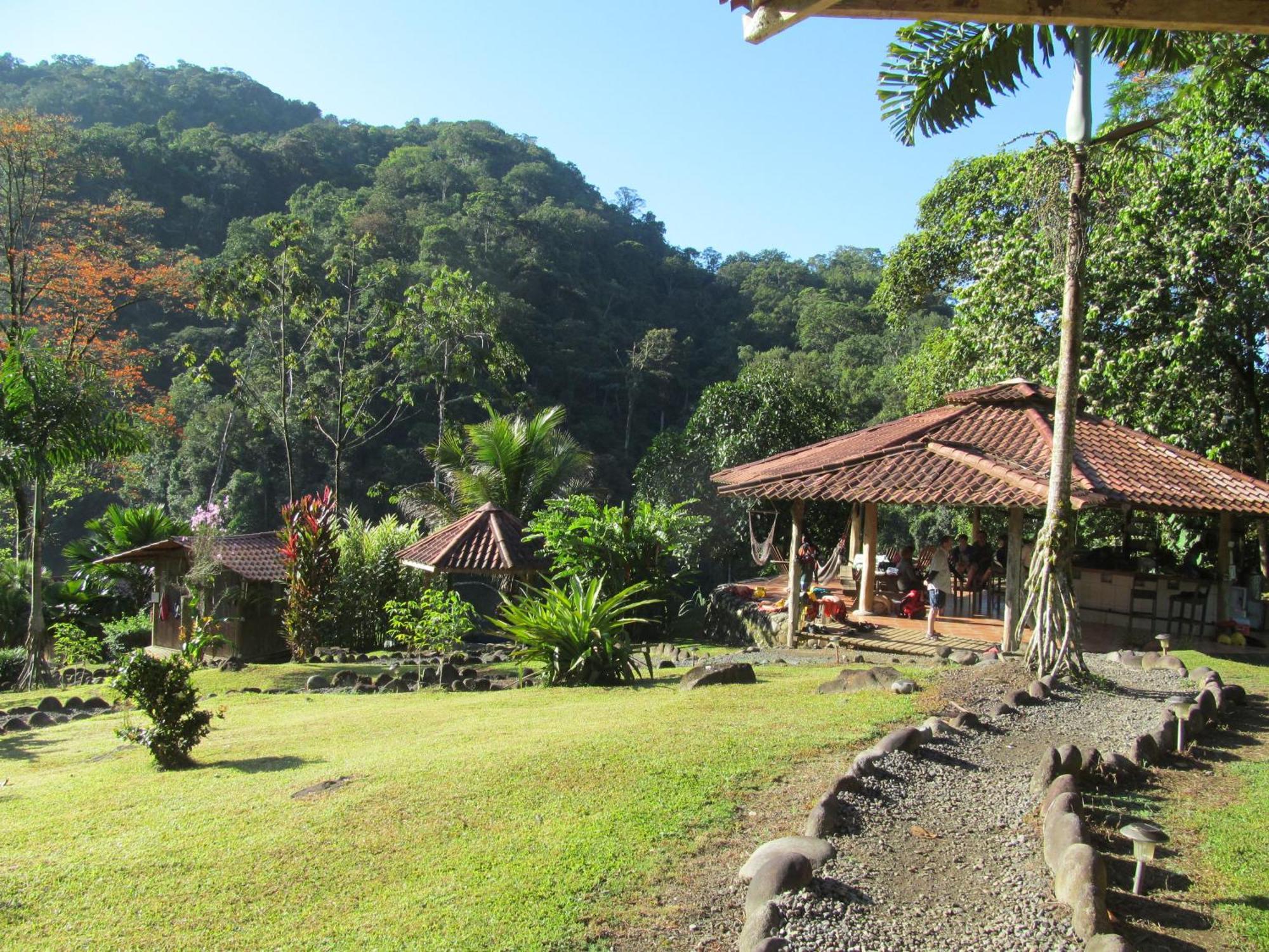 Pacuare River Lodge Bajo Tigre Extérieur photo