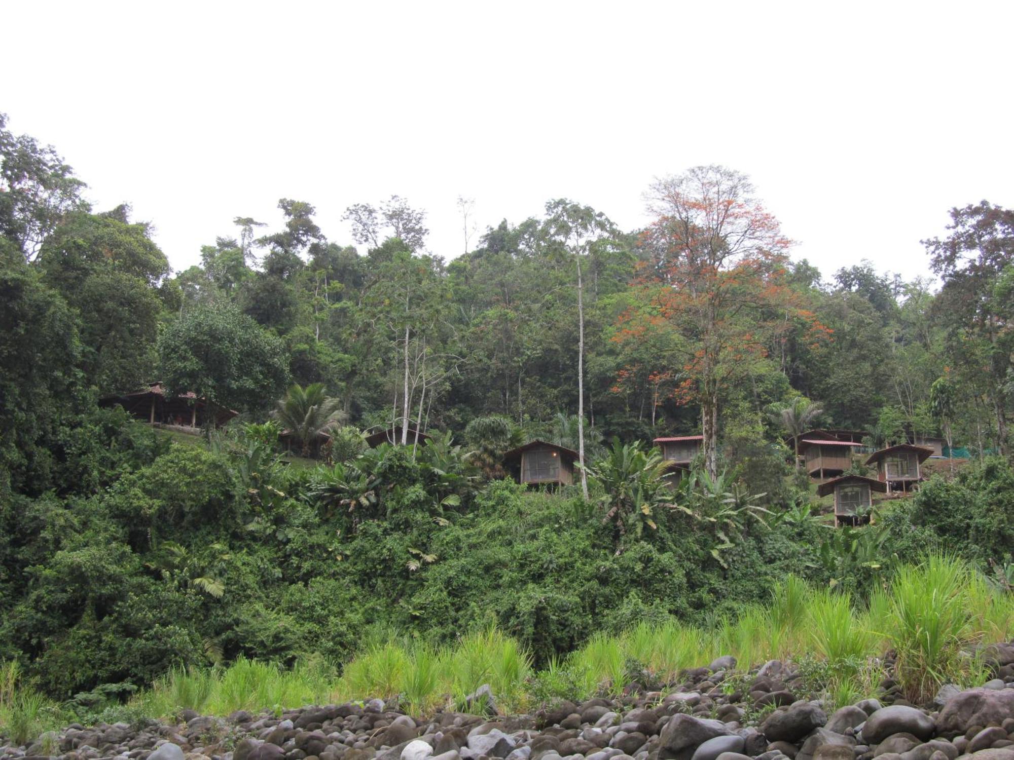 Pacuare River Lodge Bajo Tigre Extérieur photo