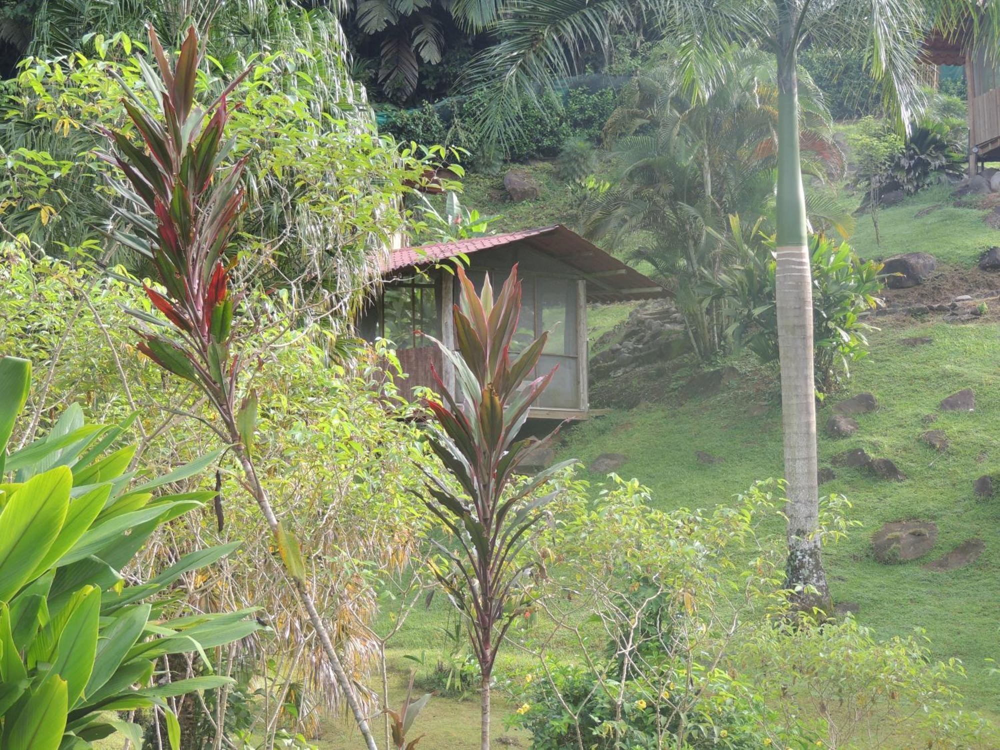 Pacuare River Lodge Bajo Tigre Extérieur photo