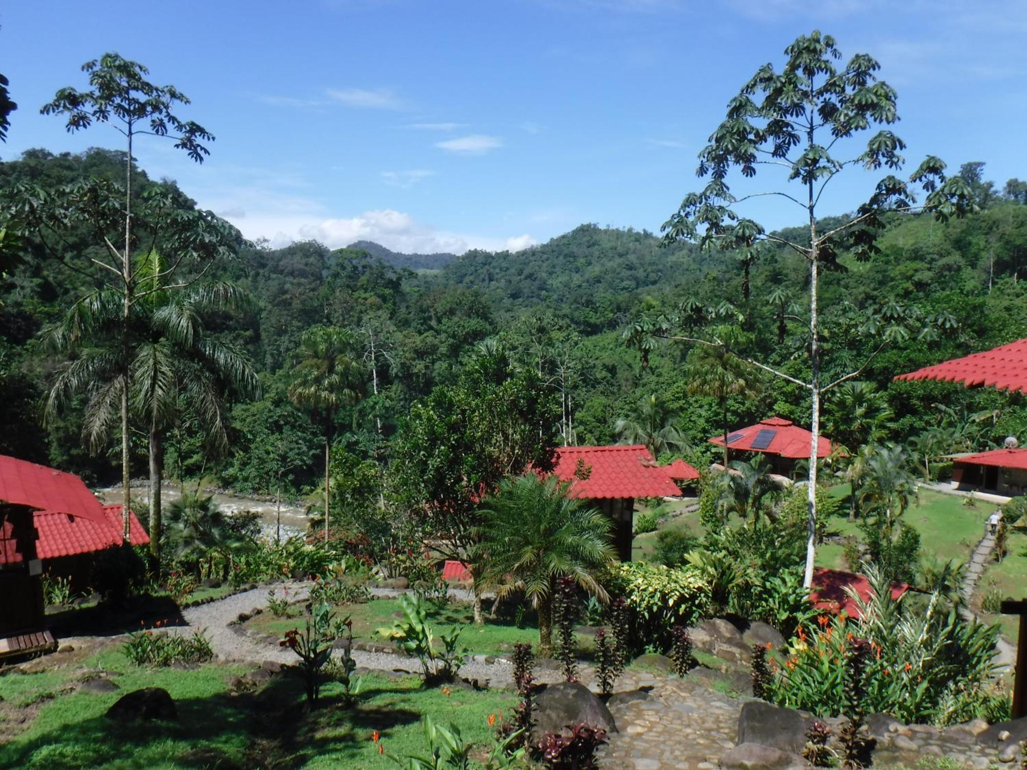 Pacuare River Lodge Bajo Tigre Extérieur photo