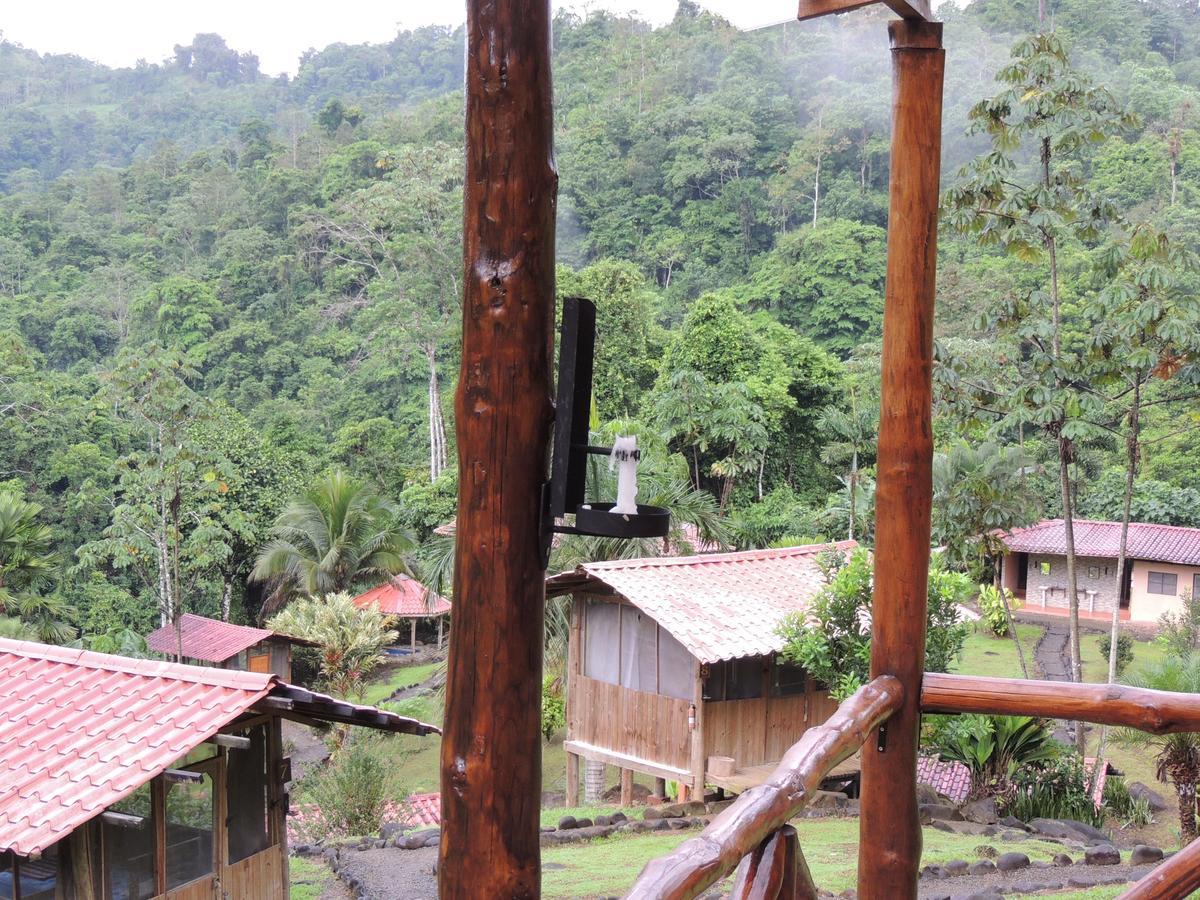 Pacuare River Lodge Bajo Tigre Extérieur photo