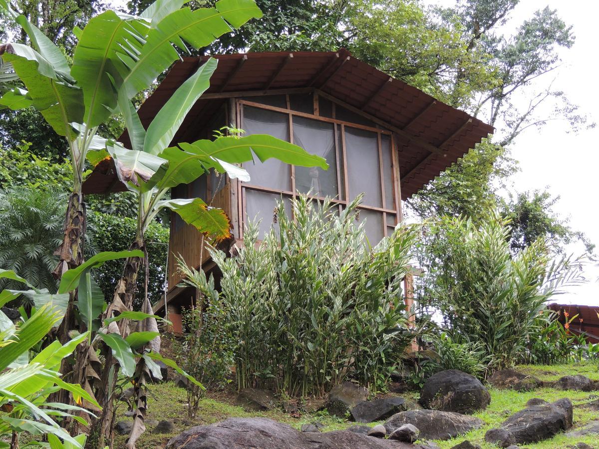 Pacuare River Lodge Bajo Tigre Extérieur photo