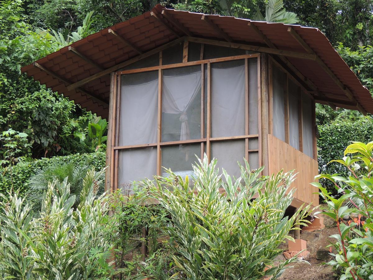 Pacuare River Lodge Bajo Tigre Extérieur photo