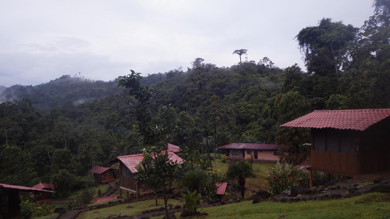 Pacuare River Lodge Bajo Tigre Extérieur photo