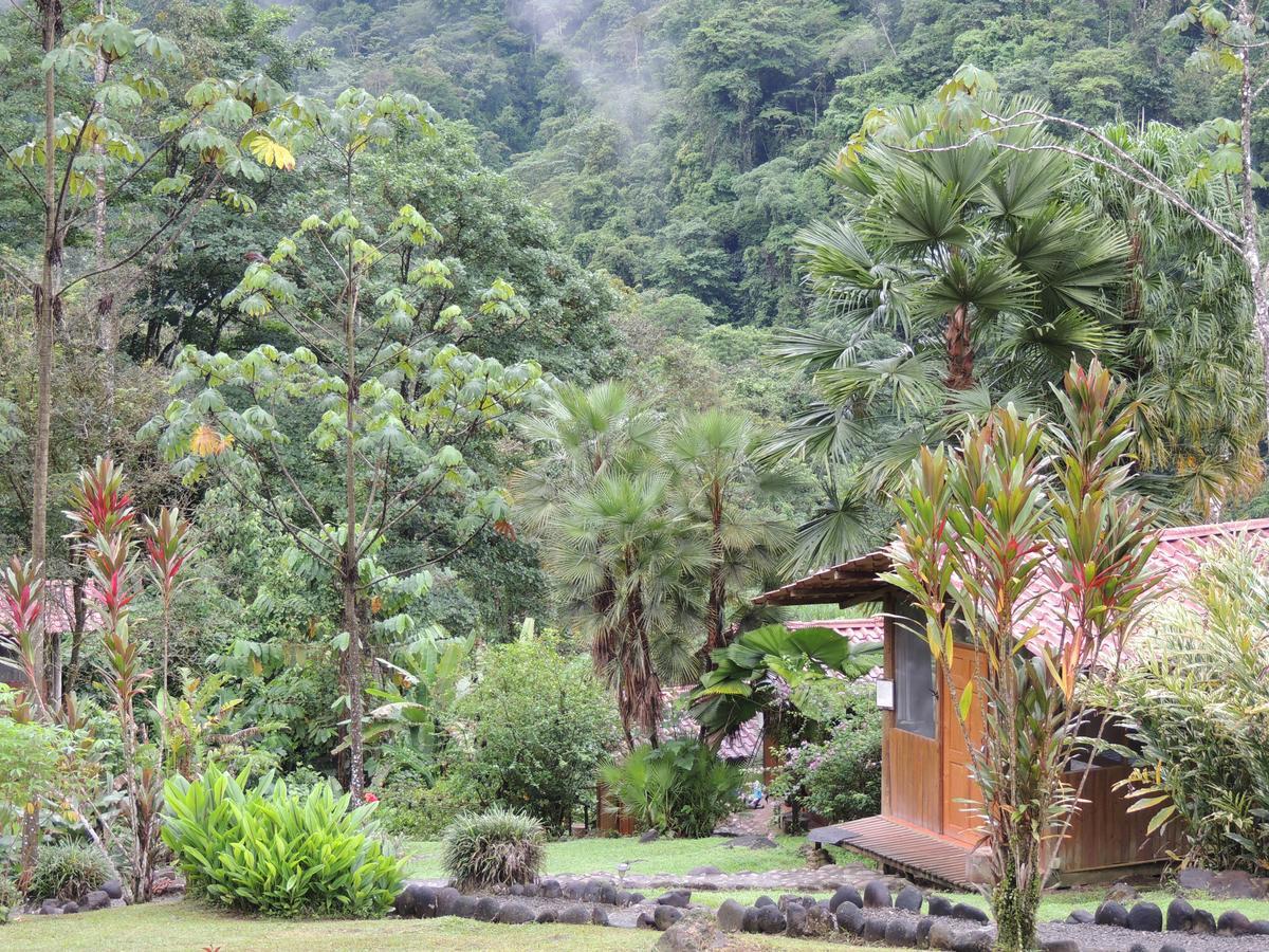 Pacuare River Lodge Bajo Tigre Extérieur photo