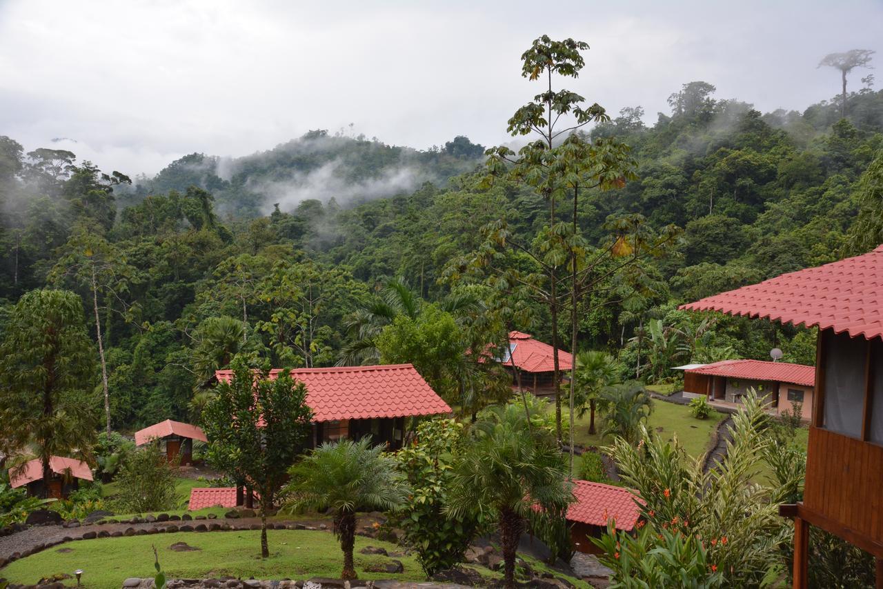 Pacuare River Lodge Bajo Tigre Extérieur photo