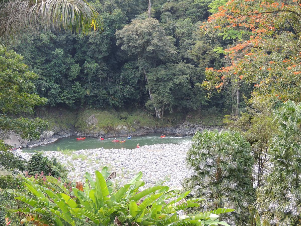 Pacuare River Lodge Bajo Tigre Extérieur photo