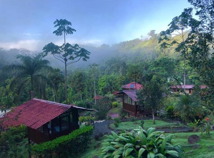 Pacuare River Lodge Bajo Tigre Extérieur photo