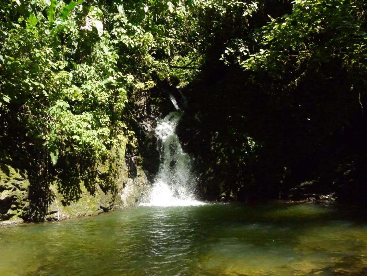 Pacuare River Lodge Bajo Tigre Extérieur photo